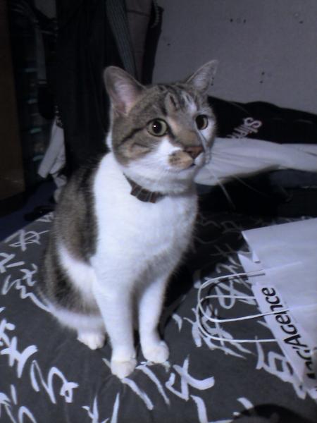 LEELOO